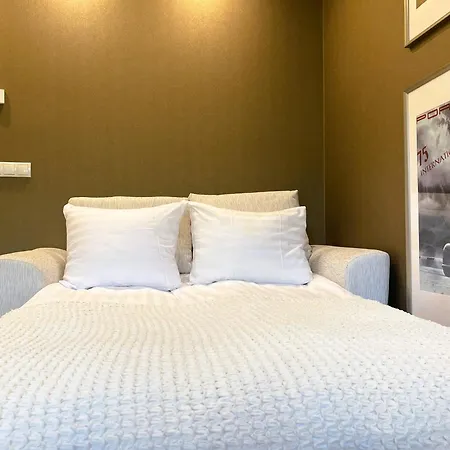 別荘 Magnolia House With Indoor Swimming Pool And Sauna タリン